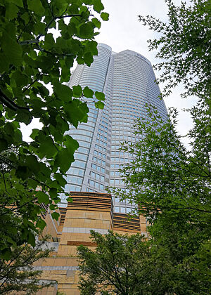 Hinter ein paar grünen Büschen ragen die Wolkenkratzer Tokios in die Höhe.