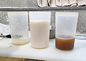 Die drei Kunststoffbecher stehen auf einer weißen Arbeitsfläche.