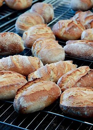 Auf einem Gitterrost liegen goldgelb und goldbraun ausgebackene, rustikal aufgerissene Brötchen.