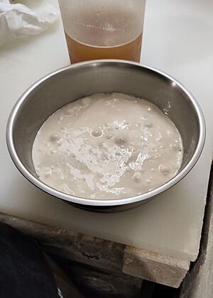 Eine Edelstahlschüssel voll blubbrigen Weizensauerteiges, dahinter ein Becher mit braunem Hefewasser.