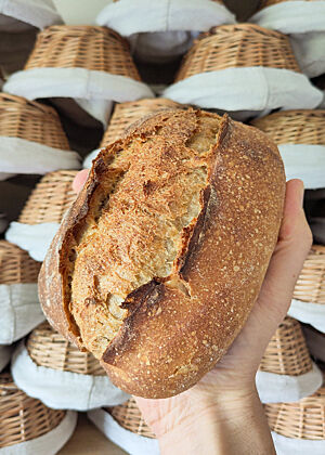 Ein "Bloomer" in der Hand gehalten vor vielen leeren Gärkörben.