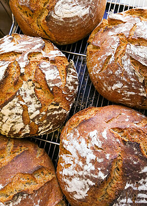 Rustikal aufgerissene und kräftig ausgebackene Weizensauerteigbrote mit bemehlter Kruste liegen auf einem Gitterrost.