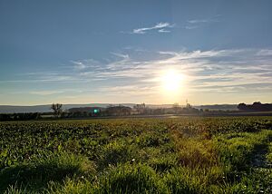 Eine schöne Landschaft mit Feldern, Wald und Wiesen bei strahlend blauem Himmel. 