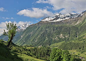 Blick auf ein grünes Tal mit dahinter liegendem Bergmassiv.