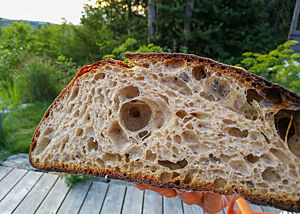 Das kräftig ausgebackene Sauerteigbrot zeigt im Anschnitt seine grobe Porung.