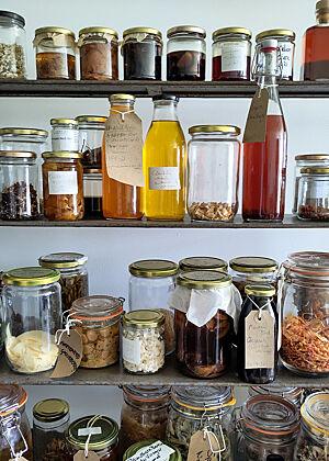Bunt gefüllte Gläser und Flaschen mit fermentierten Früchten, Gemüsen und Flüssigkeiten.