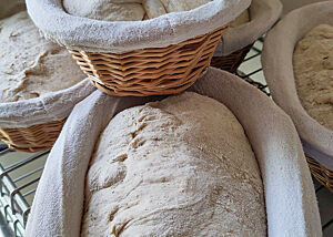 Nach dem Formen reifen die Teiglinge für den "Bloomer" ca. 1 Stunde im Gärkorb.