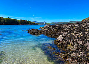 Ein Segelboot fährt aus der Bucht von Dingle hinaus.