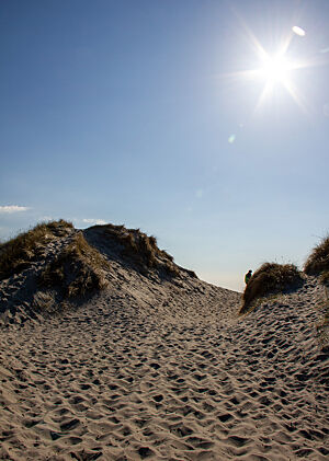 Ein Sandweg durch die Dünen führt zum fast menschenleeren Sandstrand bei Stavanger. 