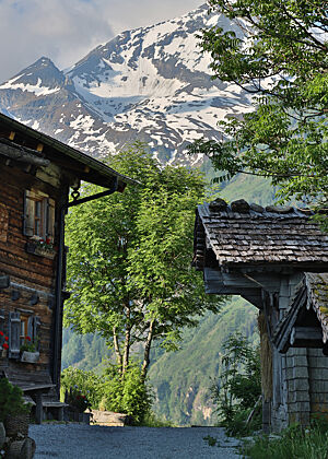 Blick an der Almhütte vorbei auf schneebedeckte Berge.
