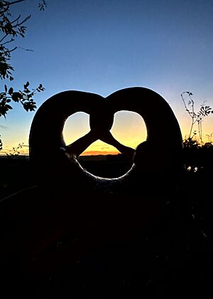 Eine Brezel vor der gerade untergegangenen Sonne.