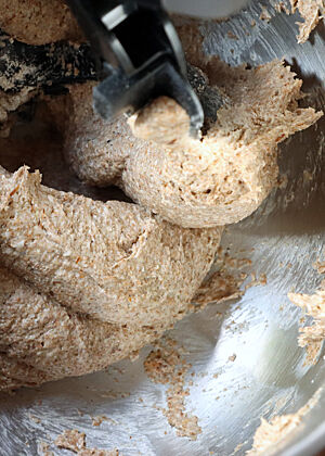 In der Knetschüssel wird gerade ein Roggenvollkornteig mit sichtbaren Schrotanteilen mit dem Flachrührer gemischt.