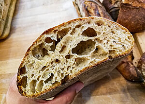 Das kräftig ausgebackene Ciabatta hat eine grobporige, elastische Krume.