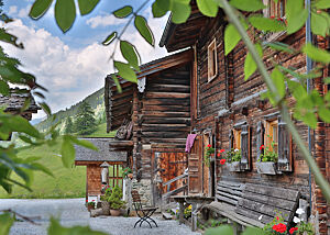 Die Almhütte ist umgeben von grüner Natur.