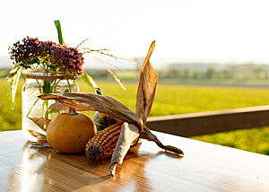 Mit liebevoll gestalteter herbstlicher Dekoration in Form von Kürbissen, Maiskolben und Blumen wurden wir in Barrigsen empfangen. 