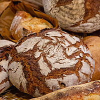 Eine Auswahl an unterschiedlichsten Broten, die im Baguette-Kurs gebacken wurden.