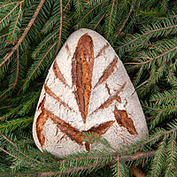 Ein dreieckiges, kunstvoll eingeschnittenes und aufgerissenes Brot mit bemehlter Kruste steht auf einem Tannenzweig. 