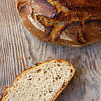 Im Anschnitt zeigt sich die helle, kleinporige Krume. 