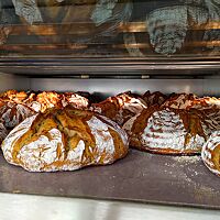 Ein Blick in einen mit rustikal aufgerissenen runden Broten voll bestückten Ofen.