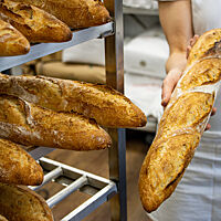 Mehrere Baguettes liegen zum Abkühlen in einem Regal.
