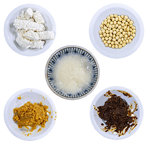 Zutaten für Misopaste: Koji-Reis (links oben), Sojabohnen (rechts oben), Amazake (Mitte), junge Misopaste (links unten), ältere Misopaste (rechts unten).