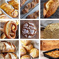 Das Bild zeigt eine Auswahl der beliebtesten Plötzblog-Rezepte. Darunter sind unter anderen Laugenbrezeln, Baguette, Hafer-Kastenbrote, Schnecken, rustikale Brote und Semmeln zu finden. 