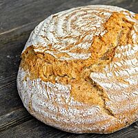 Auf einem dunklen Holzuntergrund liegt ein goldgelb ausgebackenes Dinkelkrustenbrot mit rustikal aufgerissener, bemehlter Kruste. 