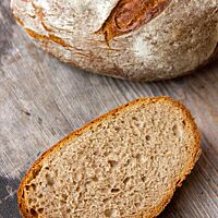 Das Bananenbrot im Anschnitt zeigt die saftige, lockere, elastische Krume.