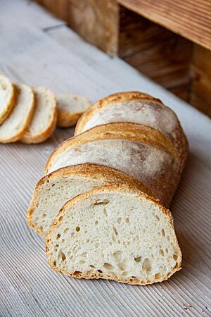 Das Banater Weißbrot im Anschnitt zeigt die lockere, elastische Krume.