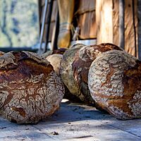 Die Kruste der runden Walnussbrote ist knusprig und kross.