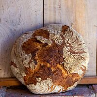 Ein kräftig ausgebackenes, rustikales Walnussbrot lehnt an einer Holzwand.