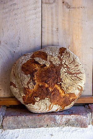 Ein kräftig ausgebackenes, rustikales Walnussbrot lehnt an einer Holzwand.