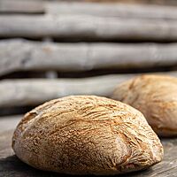 Die goldgelben Ciabattas haben eine leicht bemehlte, knusprige Kruste.