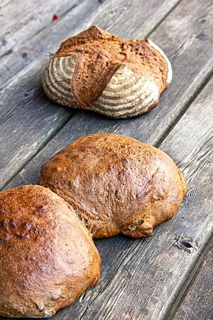 Zwei genetzte Laibe mit glänzender und glatter Kruste liegen vor einem ungenetzten, bemehlten Laib mit kreuzförmigem Einschnitt.