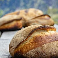 Das kräftig ausgebackene, leicht bemehlte Il pane del Muntagnolo liegt auf einem rustikalen Holztisch.