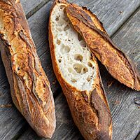 Aufgeschnitten zeigt sich das Kalchkendl-Baguette mit unregelmäßiger, grober Porung und lockerer Krume.