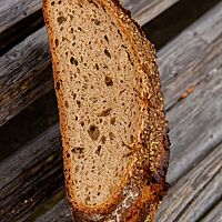 Im Anschnitt zeigt das mit Dampf gebackene Kärntner Bauernbrot seine lockere, saftige Krume.