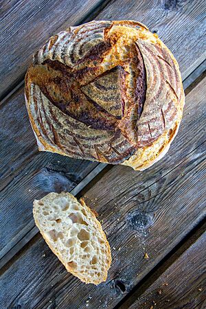 Angeschnitten zeigt das Weizensauerteigbrot die luftige, unregelmäßige Porung.
