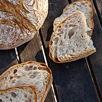 Das Weizensauerteigbrot zeigt im Anschnitt die luftige, lockere Krume.