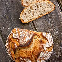 Die weiche, lockere Krume des Weizensauerteigbrotes ist umgeben von der knusprig ausgebackenen, aufgerissenen Kruste.