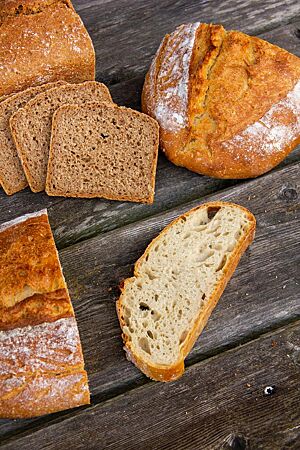 Wegen des weichen Klebers und geringen Teigstandes kann die Vollkornvariante (links oben) nur im Kasten gebacken werden, die Variante aus hellem Mehl aber auch freigeschoben als ovaler Laib.
