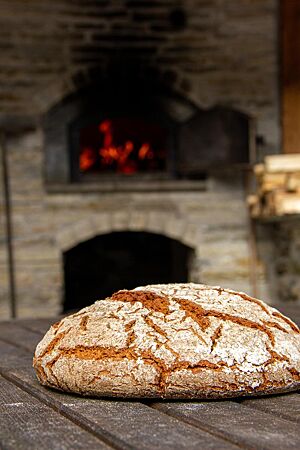 Das kräftig ausgebackene, rustikal aufgerissene Roggenmischbrot mit bemehlter Kruste liegt auf einem Holztisch vor einem Holzbackofen.