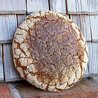 Ein kräftig ausgebackenes, bemehltes Roggenmischbrot zeigt viele Risse auf der Oberfläche und einen Mehlring am äußeren Krustenrand.