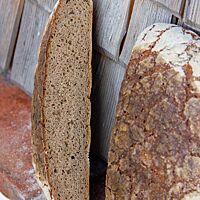 Im Anschnitt zeigt das flache Roggenmischbrot seine lockere, kleinporige Krume umgeben von der knusprigen Kruste.