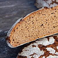 Wilhelms Roggenbrot hat eine lockere, elastische Krume und eine krosse, kräftig ausgebackene Kruste.