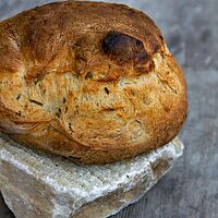 Das kräftig ausgebackene, rustikal aufgerissene Weißbrot hat mittig eine kleine Wölbung („Nase“), die dunkelbraun gefärbt ist.
