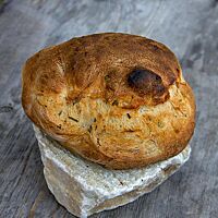 Das St. Galler Kräuterbrot hat eine kräftige, aufgerissene Kruste.