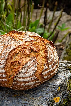 Ein kräftig ausgebackenes Weizenmischbrot liegt auf einem rustikalen Stein inmitten der Natur.