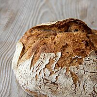 Ein kräftig ausgebackenes, rustikal aufgerissener Brotlaib mit leicht bemehlter Kruste.