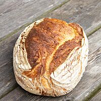 Der Brotlaib des Weizensauerteigbrotes ohne Walnüsse ist kräftig ausgebacken und rustikal aufgerissen.